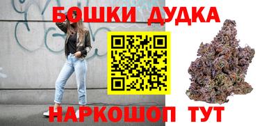 крисы Обь