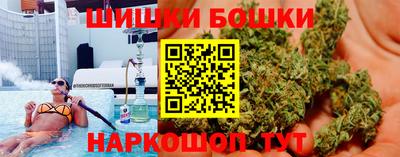 крисы Обь