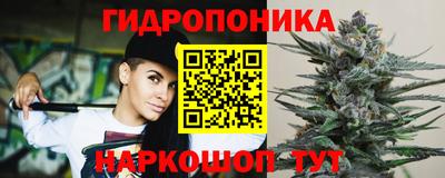 крисы Обь