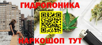 крисы Обь