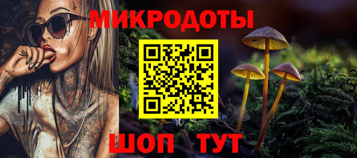 Тайшет  Псилоцибиновые грибы мухоморы  цена   Вход с VPN 